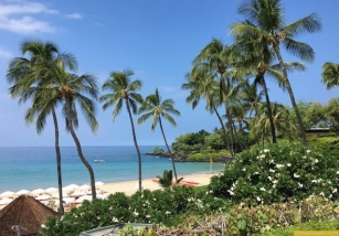 Everything You Need To Know For An Amazing Hawaii Summer Vacation 2024