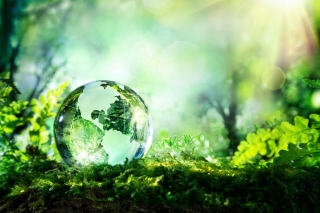The Great Greenification: Integrating Sustainability Into HR Practices