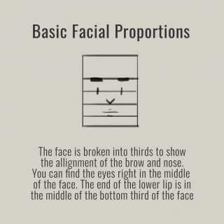 Facial Proportions Tutorial