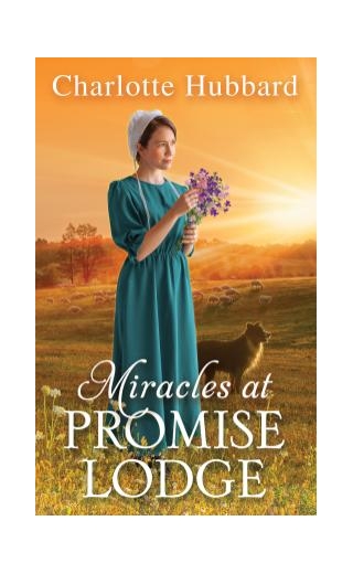 Book Review: Miracles At Promise Lodge By Charlotte Hubbard