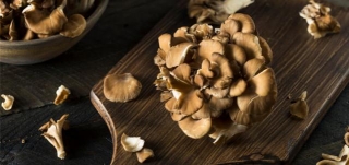 The Top 6 Health Benefits Of Maitake Mushrooms