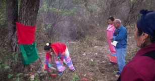 Cuidar La Tierra, Curar Con Plantas: Crónicas Del Feminismo Comunitario En Jujuy