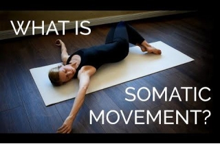 What Is Somatic Movement?
