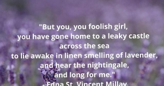 Lavender Quotes In Literature (Quotes About Lavender)