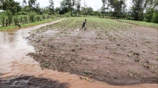 Enchentes Severas Na África Impactam Agricultura E Colocam Vidas Em Risco