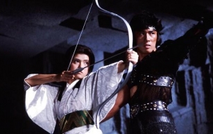 Review - A Lenda dos Oito Samurais (1983)