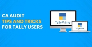 CA Audit Tips And Tricks For Tally Users.
