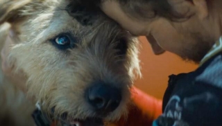Film Review: ARTHUR THE KING (2024): Mark Wahlberg Befriends A Dog In An Action-Filled Race Movie With Heart