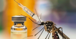 Dengue Vaccine Has Arrived In Malaysia